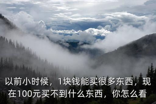 以前小時候，1塊錢能買很多東西，現(xiàn)在100元買不到什么東西，你怎么看