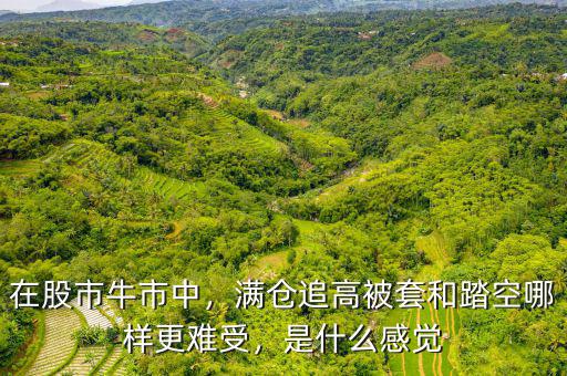 在股市牛市中，滿倉(cāng)追高被套和踏空哪樣更難受，是什么感覺(jué)