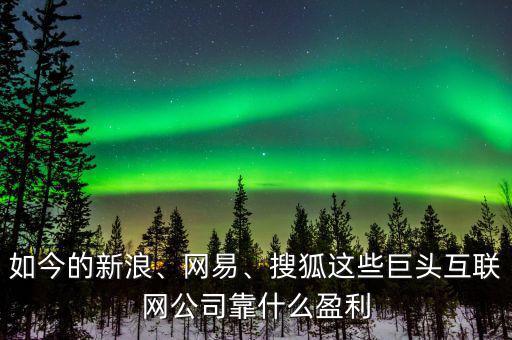 如今的新浪、網(wǎng)易、搜狐這些巨頭互聯(lián)網(wǎng)公司靠什么盈利