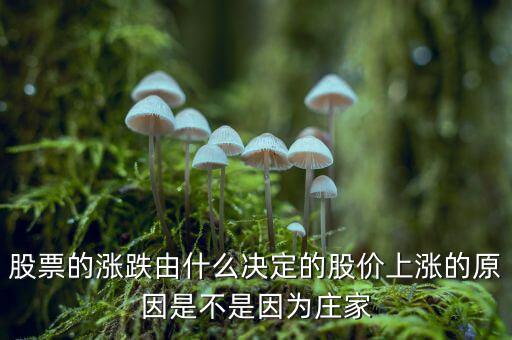 股票的漲跌由什么決定的股價上漲的原因是不是因?yàn)榍f家