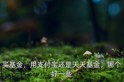 買(mǎi)基金，用支付寶還是天天基金，哪個(gè)好一些