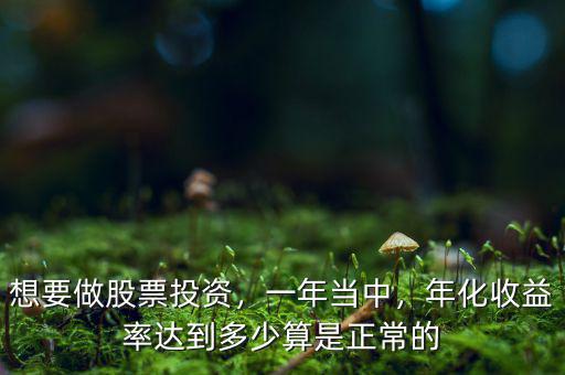 想要做股票投資，一年當中，年化收益率達到多少算是正常的
