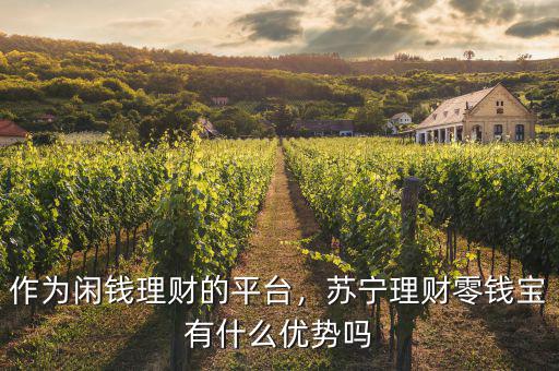 作為閑錢(qián)理財(cái)?shù)钠脚_(tái)，蘇寧理財(cái)零錢(qián)寶有什么優(yōu)勢(shì)嗎