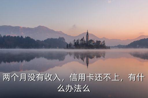 兩個(gè)月沒(méi)有收入，信用卡還不上，有什么辦法么