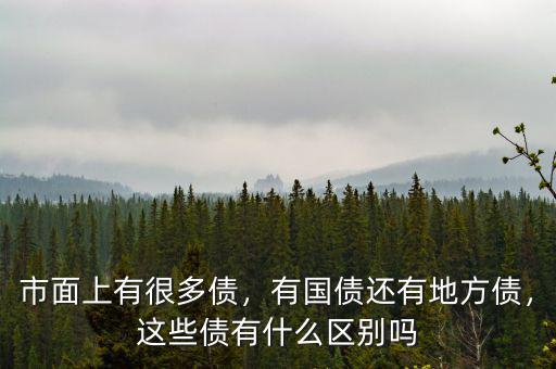 市面上有很多債，有國(guó)債還有地方債，這些債有什么區(qū)別嗎