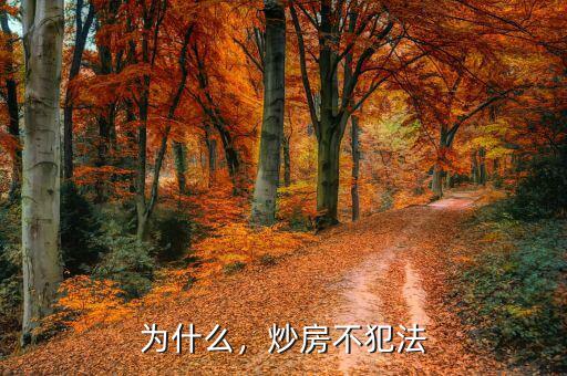 為什么，炒房不犯法