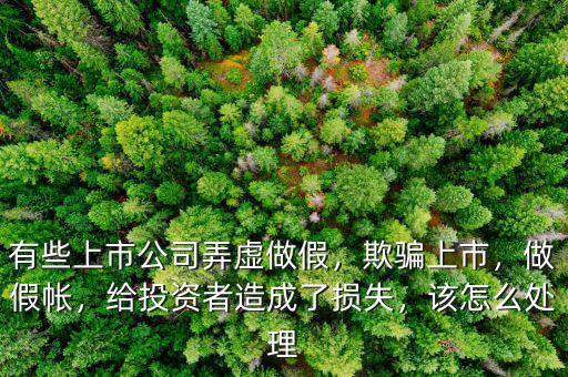 有些上市公司弄虛做假，欺騙上市，做假帳，給投資者造成了損失，該怎么處理
