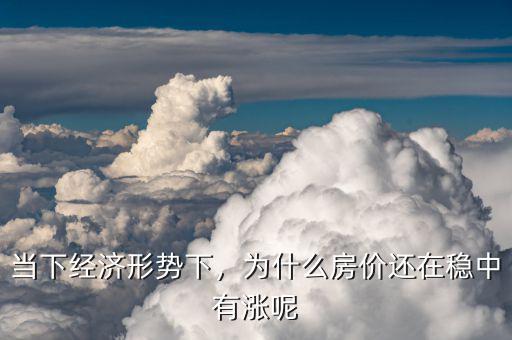 當下經(jīng)濟形勢下，為什么房價還在穩(wěn)中有漲呢