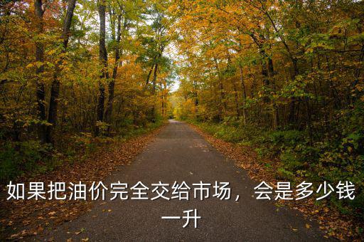 如果把油價(jià)完全交給市場(chǎng)，會(huì)是多少錢一升
