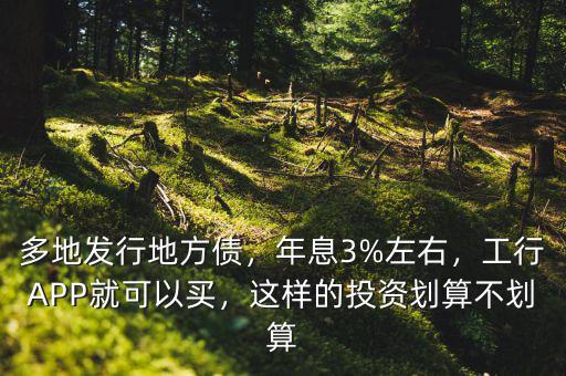 多地發(fā)行地方債，年息3%左右，工行APP就可以買，這樣的投資劃算不劃算