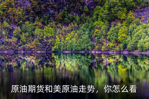 原油期貨和美原油走勢，你怎么看