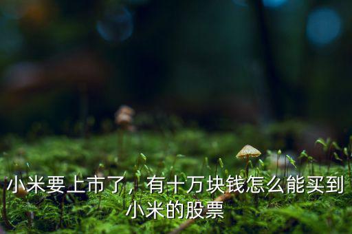 小米要上市了，有十萬塊錢怎么能買到小米的股票
