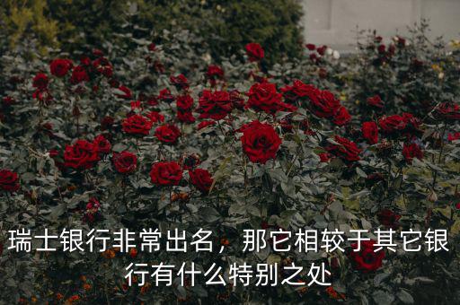 瑞士銀行非常出名，那它相較于其它銀行有什么特別之處