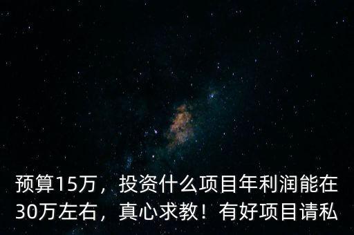 預(yù)算15萬(wàn)，投資什么項(xiàng)目年利潤(rùn)能在30萬(wàn)左右，真心求教！有好項(xiàng)目請(qǐng)私