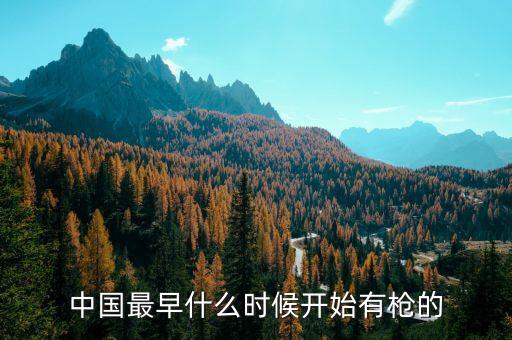 中國(guó)最早什么時(shí)候開(kāi)始有槍的