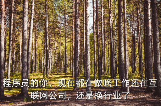 程序員的你，現(xiàn)在都在做啥工作還在互聯(lián)網(wǎng)公司，還是換行業(yè)了