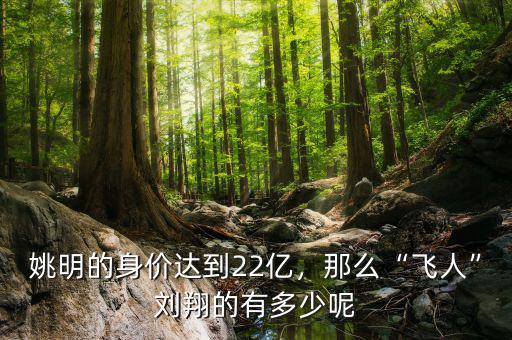 姚明的身價達到22億，那么“飛人”劉翔的有多少呢