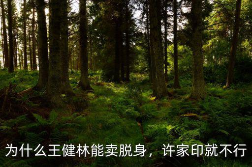 為什么王健林能賣脫身，許家印就不行