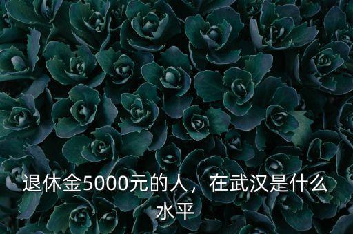 退休金5000元的人，在武漢是什么水平
