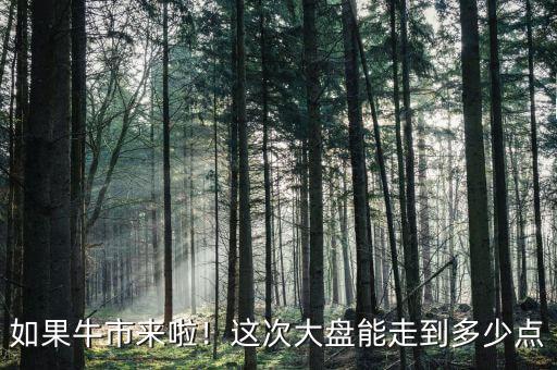 如果牛市來啦！這次大盤能走到多少點