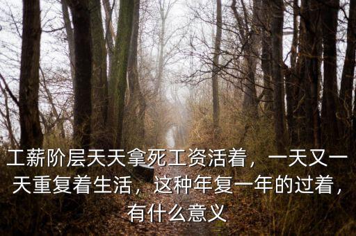 工薪階層天天拿死工資活著，一天又一天重復(fù)著生活，這種年復(fù)一年的過著，有什么意義