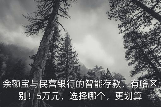 余額寶與民營銀行的智能存款，有啥區(qū)別！5萬元，選擇哪個，更劃算