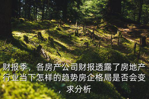 財報季，各房產(chǎn)公司財報透露了房地產(chǎn)行業(yè)當下怎樣的趨勢房企格局是否會變，求分析