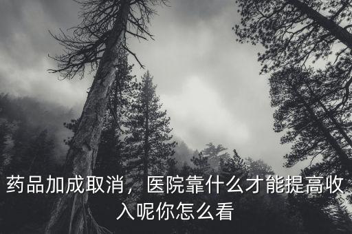 藥品加成取消，醫(yī)院靠什么才能提高收入呢你怎么看