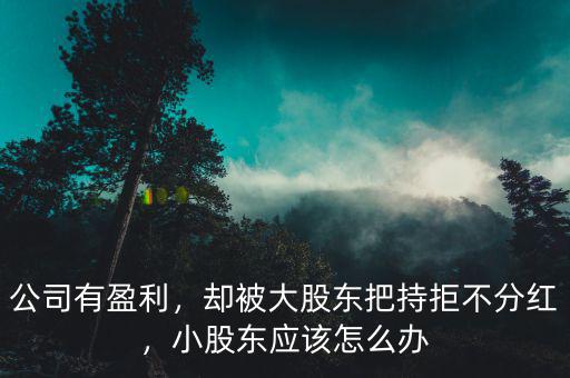 公司有盈利，卻被大股東把持拒不分紅，小股東應(yīng)該怎么辦