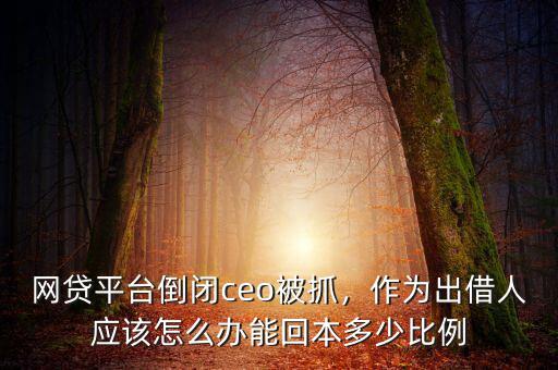 網(wǎng)貸平臺(tái)倒閉ceo被抓，作為出借人應(yīng)該怎么辦能回本多少比例