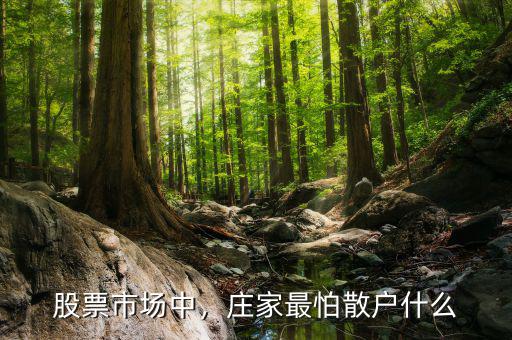 股票市場中，莊家最怕散戶什么