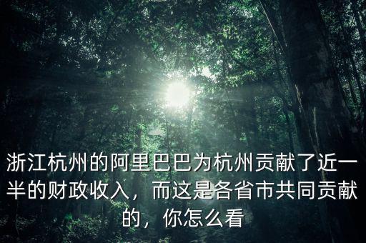 浙江杭州的阿里巴巴為杭州貢獻(xiàn)了近一半的財政收入，而這是各省市共同貢獻(xiàn)的，你怎么看
