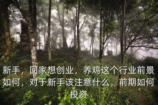 新手，回家想創(chuàng)業(yè)，養(yǎng)雞這個(gè)行業(yè)前景如何，對(duì)于新手該注意什么，前期如何投資