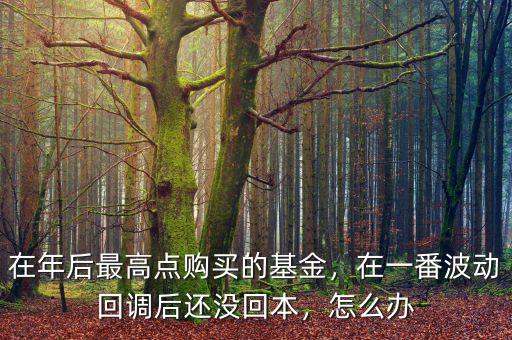 在年后最高點(diǎn)購(gòu)買的基金，在一番波動(dòng)回調(diào)后還沒(méi)回本，怎么辦