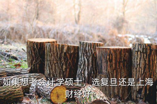 上海高金會(huì)計(jì)學(xué)怎么樣,上海大學(xué)的會(huì)計(jì)專(zhuān)業(yè)怎么樣