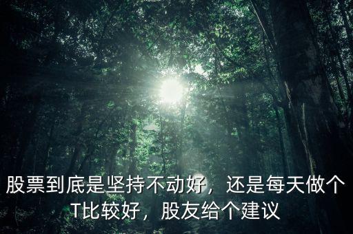 股票到底是堅(jiān)持不動(dòng)好，還是每天做個(gè)T比較好，股友給個(gè)建議