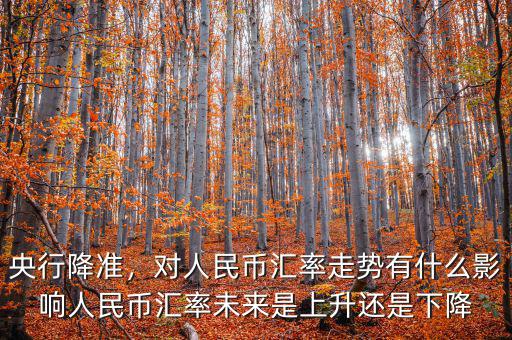 央行降準(zhǔn)，對(duì)人民幣匯率走勢(shì)有什么影響人民幣匯率未來(lái)是上升還是下降