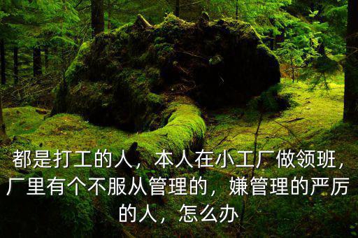 都是打工的人，本人在小工廠做領(lǐng)班，廠里有個不服從管理的，嫌管理的嚴厲的人，怎么辦