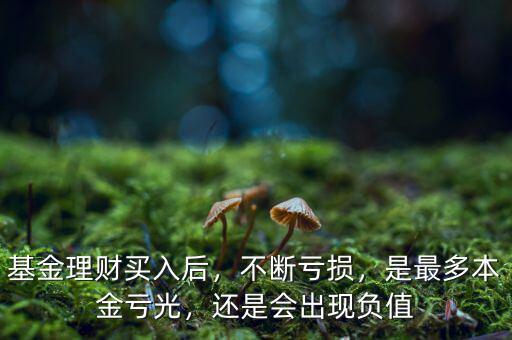 基金理財(cái)買入后，不斷虧損，是最多本金虧光，還是會(huì)出現(xiàn)負(fù)值