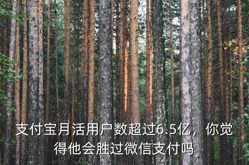2014支付寶多少用戶(hù)數(shù),微信支付用戶(hù)數(shù)遠(yuǎn)超支付寶