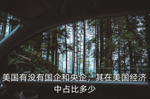 美國有沒有國企和央企，其在美國經(jīng)濟中占比多少