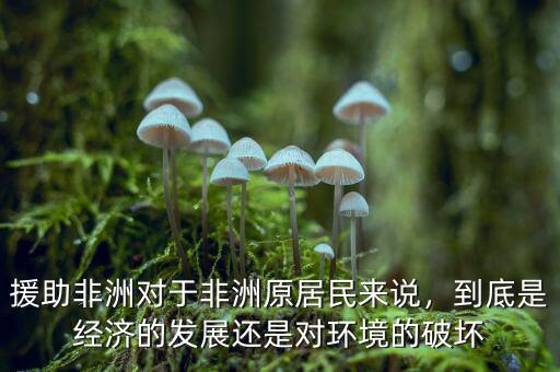 援助非洲對于非洲原居民來說，到底是經(jīng)濟(jì)的發(fā)展還是對環(huán)境的破壞