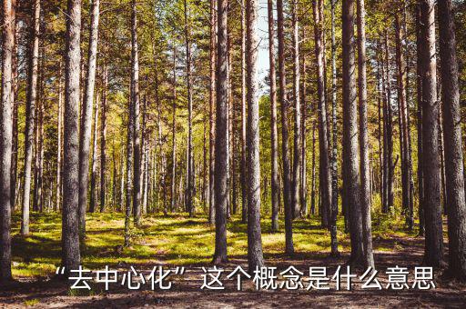 什么叫去平臺化,去中心化這個(gè)概念是什么意思