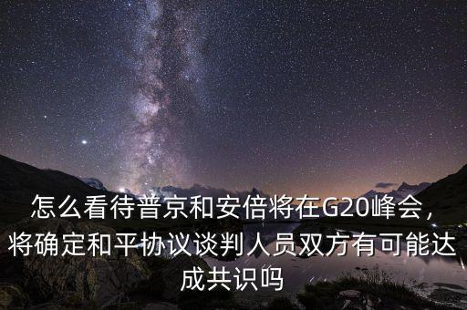 怎么看待普京和安倍將在G20峰會，將確定和平協(xié)議談判人員雙方有可能達(dá)成共識嗎