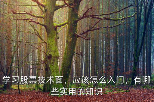 學習股票技術(shù)面，應該怎么入門，有哪些實用的知識
