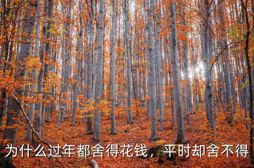 為什么過年都舍得花錢，平時卻舍不得