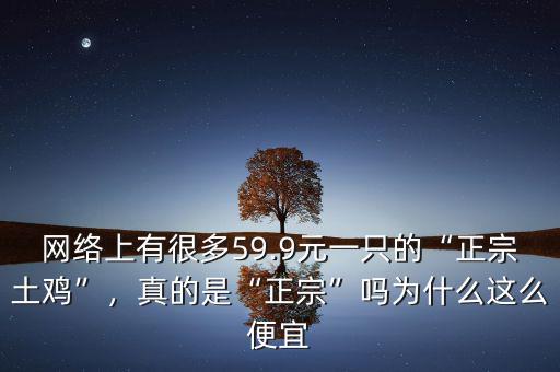 網(wǎng)絡上有很多59.9元一只的“正宗土雞”，真的是“正宗”嗎為什么這么便宜