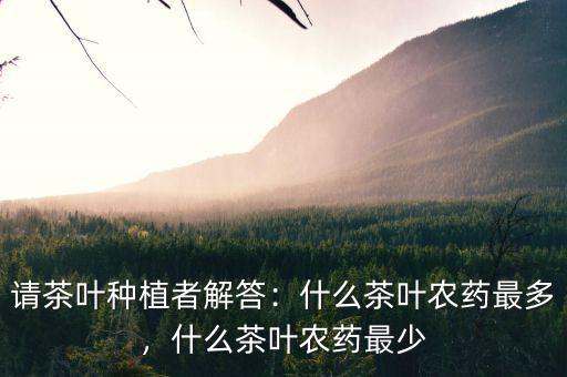 請(qǐng)茶葉種植者解答：什么茶葉農(nóng)藥最多，什么茶葉農(nóng)藥最少