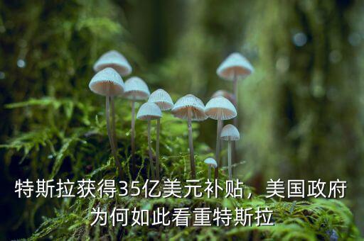特斯拉獲得35億美元補貼，美國政府為何如此看重特斯拉
