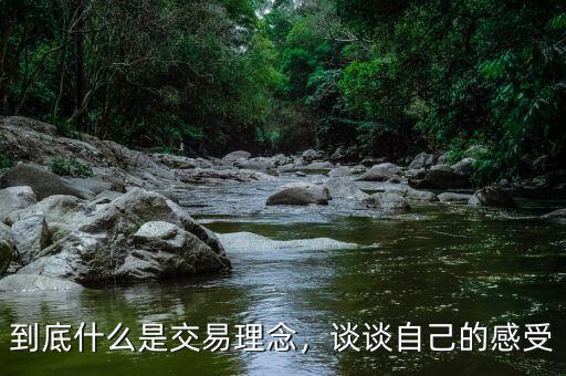 到底什么是交易理念，談?wù)勛约旱母惺? class=